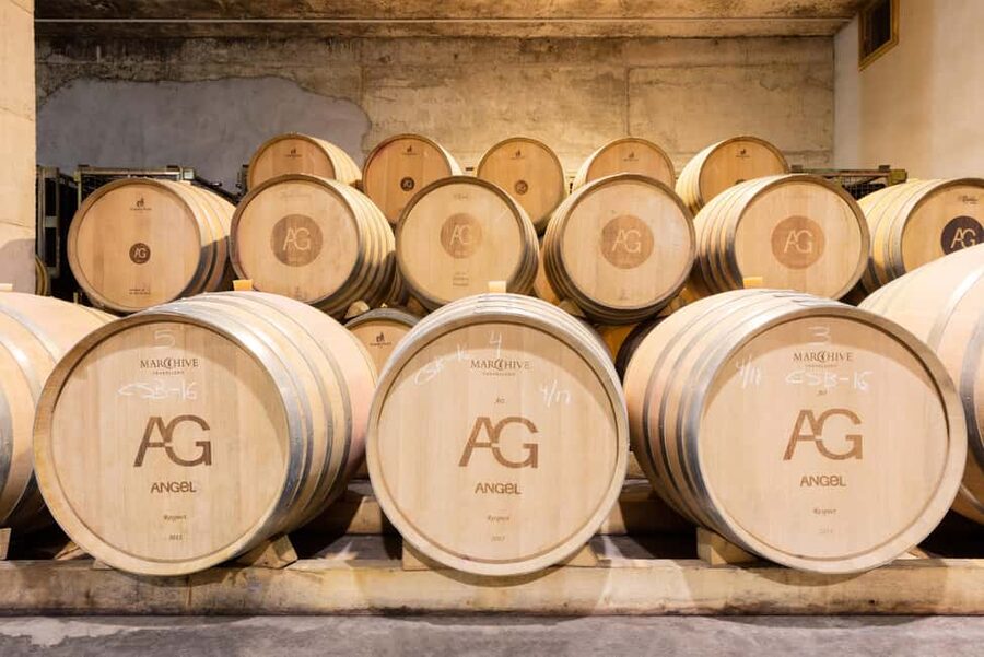 Mallorca: Bodegas Ángel Winery Tour with Wine Tasting - Jam tapas and local pairings: what’s included and what costs extra