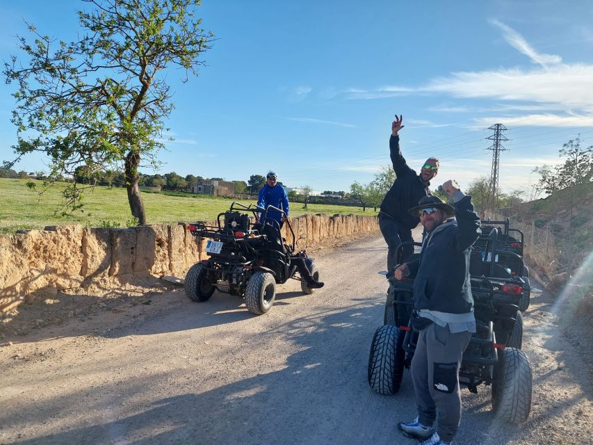 Mallorca: Buggy Tour Adventure with Cove Swimming - Quick Hits Before You Go