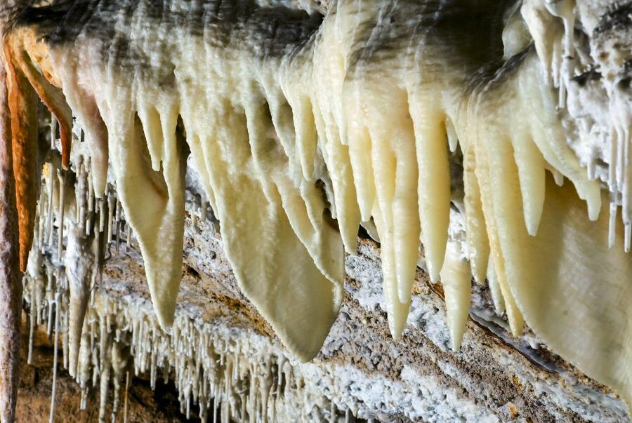 Mallorca: Campanet Caves Entry Ticket - What to look for inside: stalactites, stalagmites, and big collapse rooms