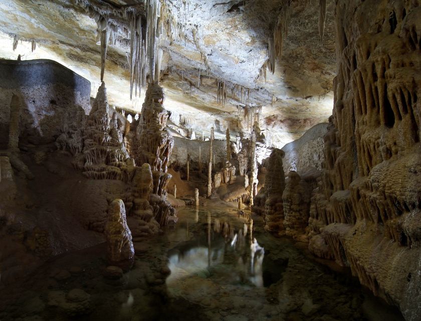 Mallorca: Campanet Caves Entry Ticket - Timing and language: getting the most out of your 40 minutes