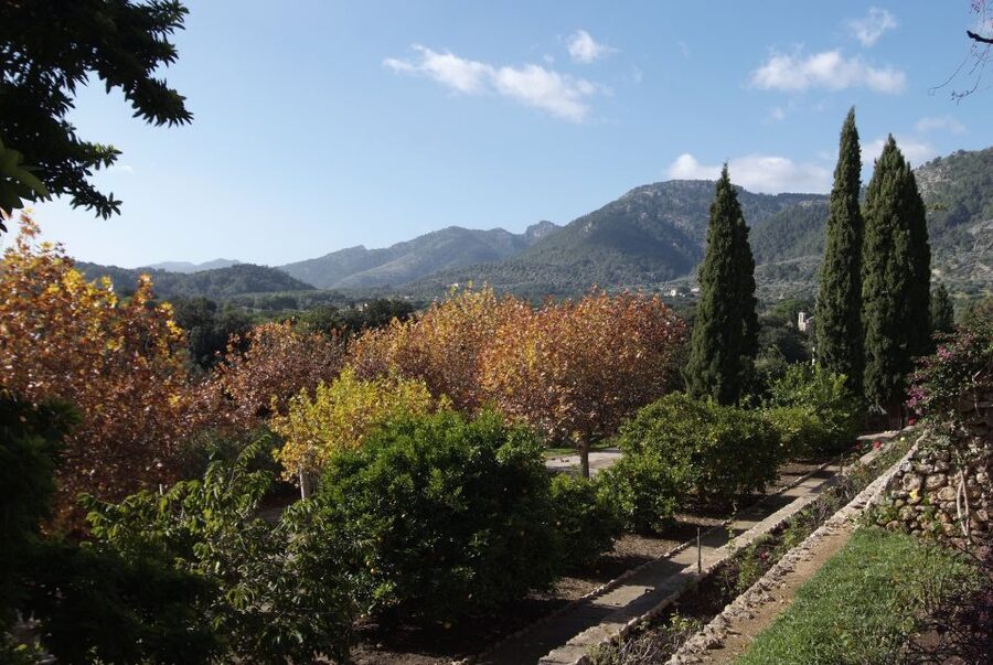 Mallorca: Campanet Caves Entry Ticket - Should you book this Campanet Caves entry ticket?