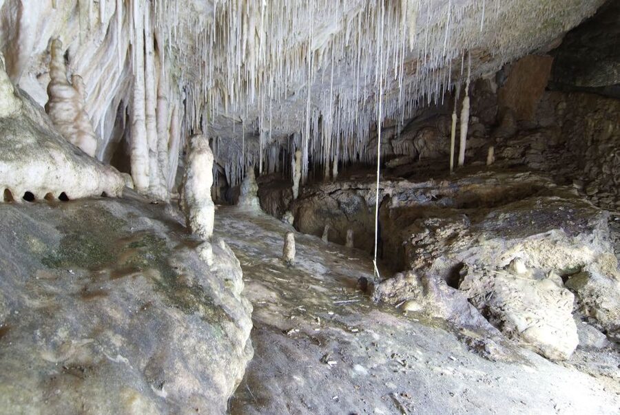 Mallorca: Campanet Caves Entry Ticket - Your 40-minute self-guided cave walk through three chambers