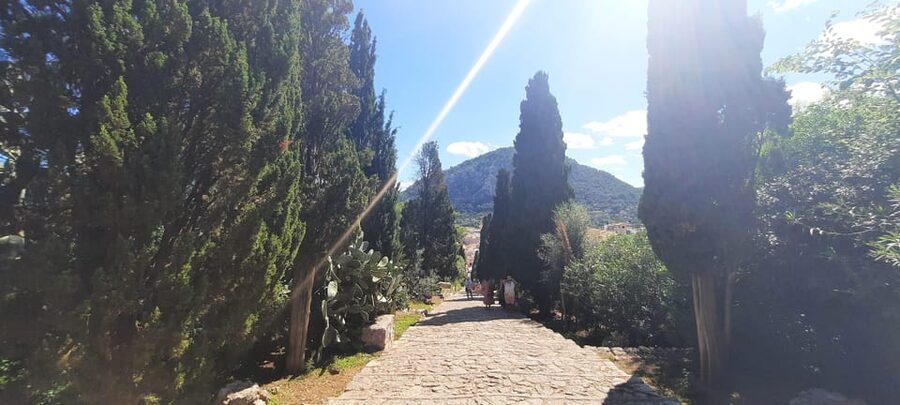 Mallorca: Cap & Cava - Minibus Tour to Formentor - GERMAN - What to Bring, What to Wear, and Who This Tour Fits