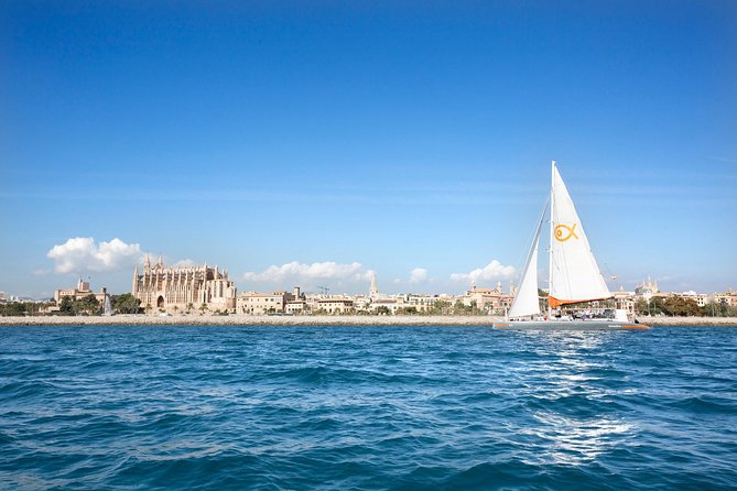 Mallorca Catamaran Cruise and Snorkeling Trip - Price and value: what $93.83 really buys