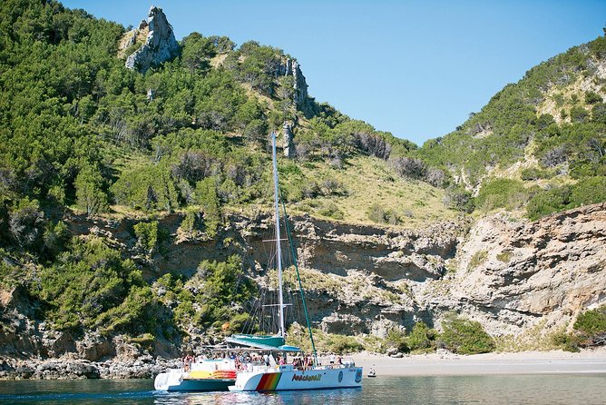 Mallorca Catamaran Cruise with Scenic Views and BBQ Lunch - Sailing from Port dAlcúdia, then letting the day unfold