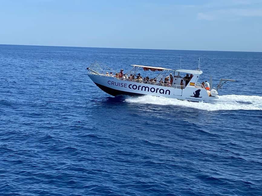 Mallorca: Caves, Cliffs, and Coves Boat Trip - Why This Mallorca Boat Trip Works: Caves and Coves Without the Hassle