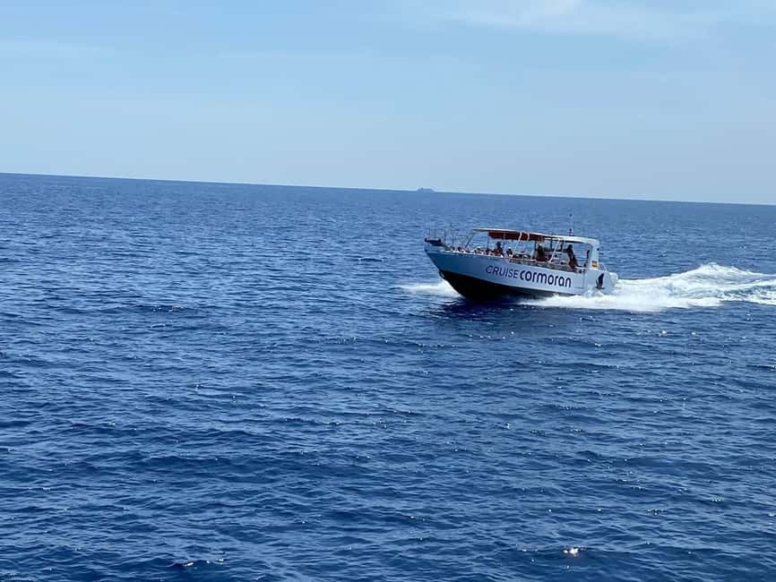 Mallorca: Caves, Cliffs, and Coves Boat Trip - Food, Drinks, and Comfort: What to Bring So You Don’t Regret Anything