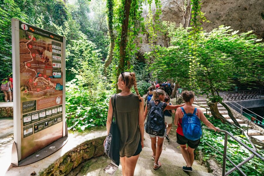 Mallorca: Caves of Drach Day Trip & Optional Caves of Hams - Key things to know before you go
