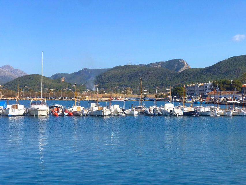 Mallorca: Coastal Cruise to Port of Andratx with swim stop - Key highlights worth planning around
