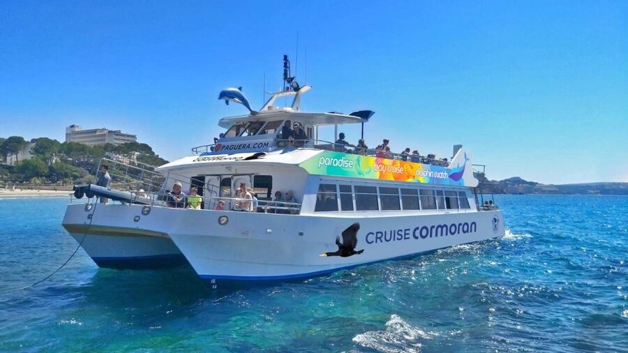 Mallorca: Coastal Cruise to Port of Andratx with swim stop - Should you book this Mallorca coastal cruise to Andratx?
