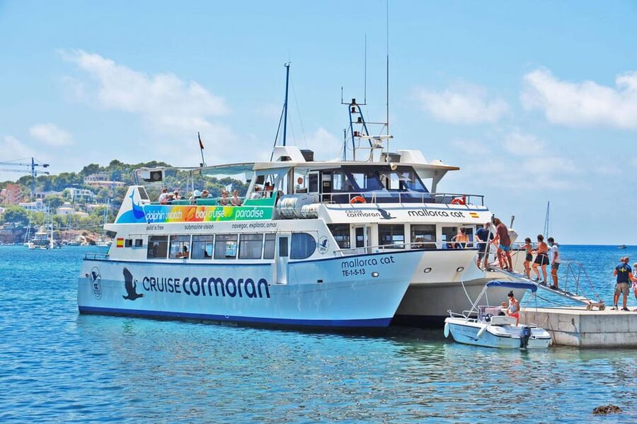 Mallorca: Coastal Cruise to Port of Andratx with swim stop - Cala Egos swim stop, snorkel moments, and the water you came for