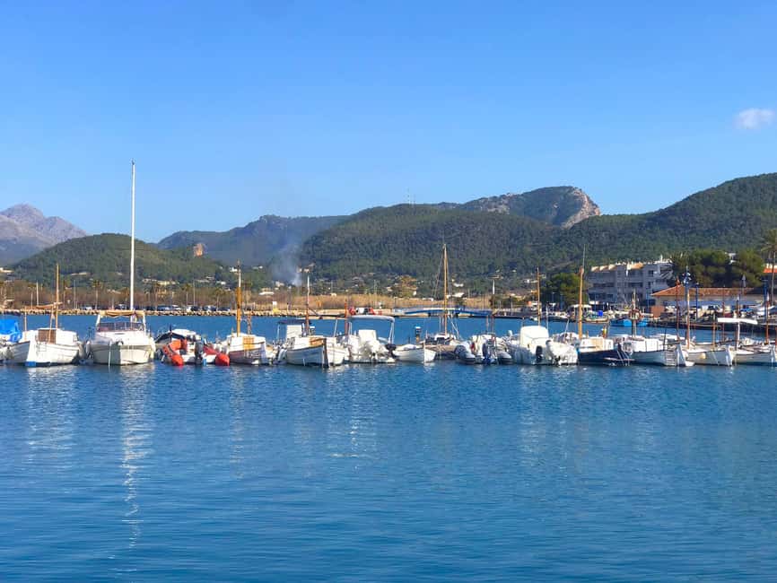 Mallorca: Coastal Cruise to Port of Andratx with swim stop - Port d’Andratx in 40 minutes: stroll, marina drinks, and people-watching