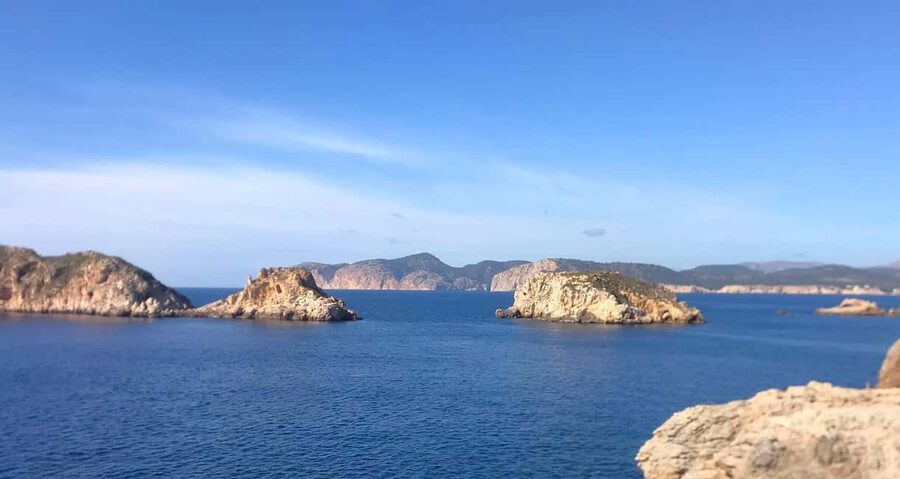 Mallorca: Coastal Cruise to Port of Andratx with swim stop - Onboard comfort: restrooms, bar, and the small things that affect your mood