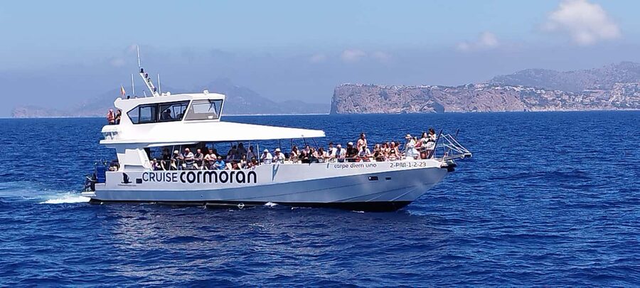 Mallorca: Coastal Cruise to Port of Andratx with swim stop - Value check: is $53 a smart deal for Mallorca coast time?