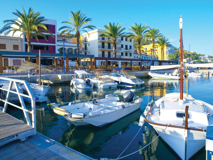 Mallorca: Coastal Cruise to Port of Andratx with swim stop - Why the Malgrats Islands Marine Reserve changes the whole vibe