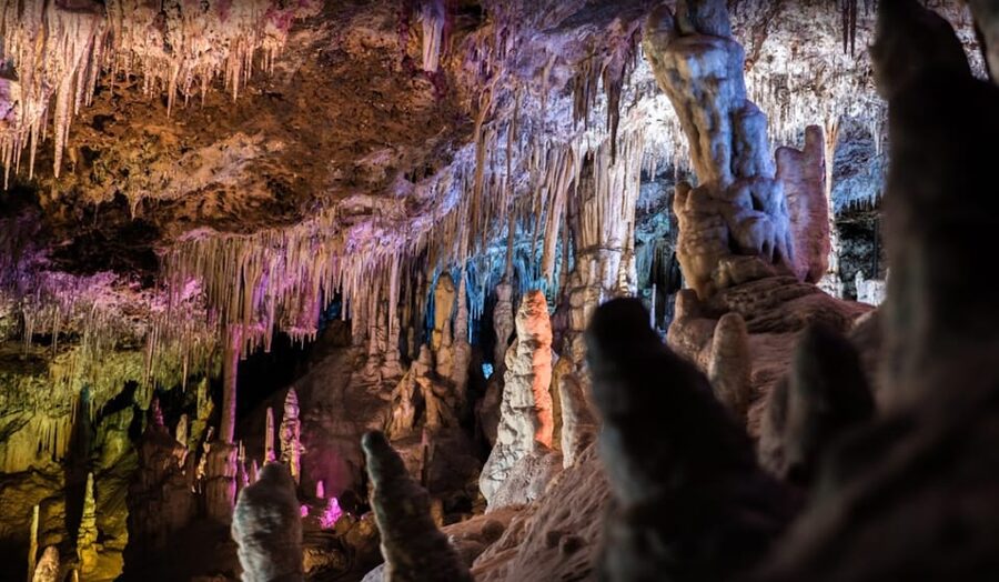 Mallorca: Day Trip to Caves of Hams & Optional Dinosaurland - Key Points Before You Go