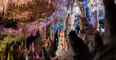 Day Trip to Caves of Hams & Optional Dinosaurland