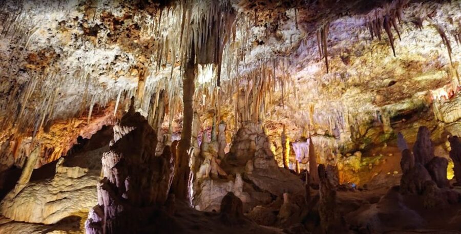 Mallorca: Day Trip to Caves of Hams & Optional Dinosaurland - The Optional Dinosaurland Add-On on Thursdays