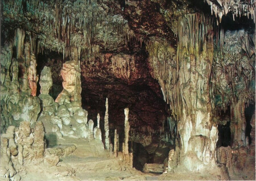 Mallorca: Day Trip to Caves of Hams & Optional Dinosaurland - The Coach Schedule, Waiting Time, and Where to Set Your Expectations