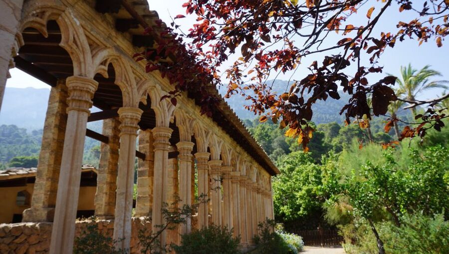 Mallorca: Day Trip to Hidden Gems of Tramuntana with Lunch - Price and value: what 147 USD buys you here