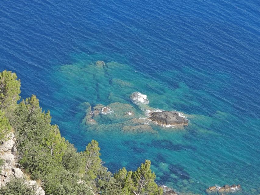 Mallorca: Day Trip to Hidden Gems of Tramuntana with Lunch - The Sóller olive oil mill: learn, taste, and see the family business