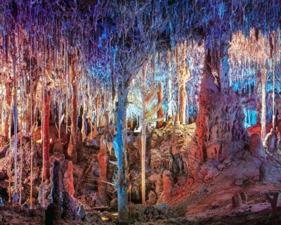 Dinosaurland and Caves of Hams Combined Ticket