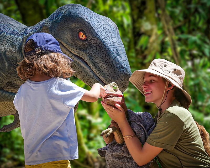 Mallorca: Dinosaurland and Caves of Hams Combined Ticket - The bottom line: should you book the Caves of Hams and Dinosaurland combo?