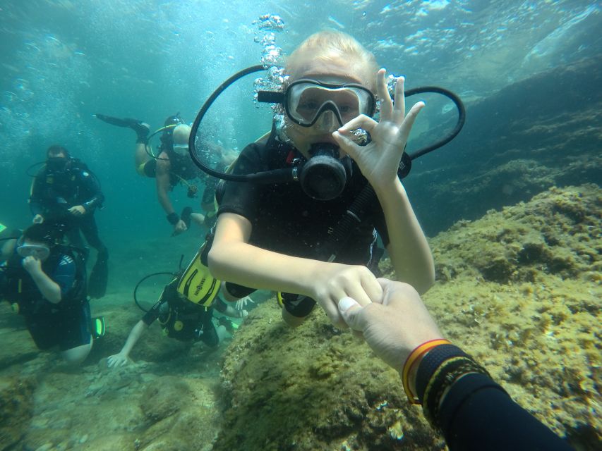 Mallorca: Discover Scuba Diving for Beginners - Price Check: Is $176 Good Value for This First-Timer Program?