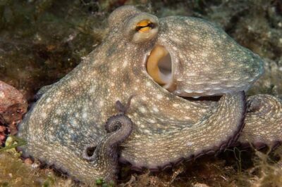 Discover Scuba Diving from the boat