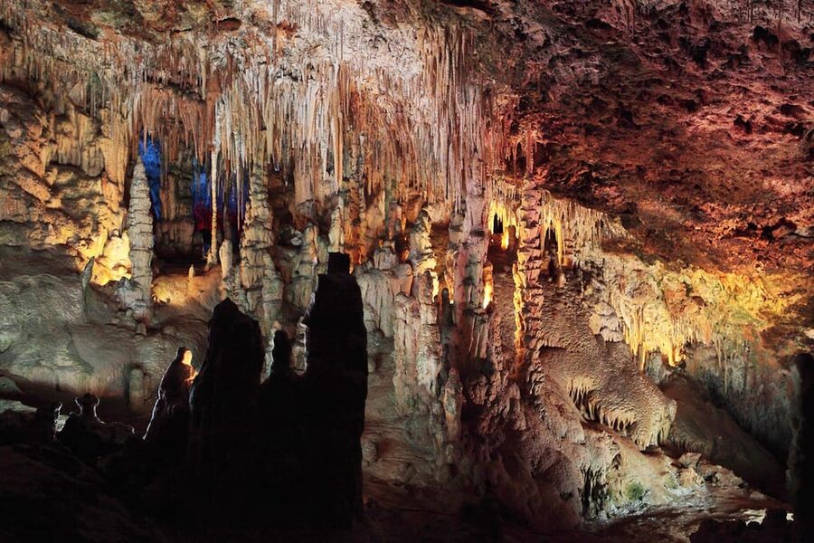 Mallorca: Drach and Hams Caves, and Porto Cristo Day Tour - Key highlights