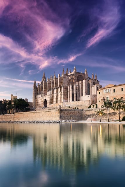 Mallorca: Drach and Hams Caves, and Porto Cristo Day Tour - Porto Cristo harbor time: your daylight reset after the caves