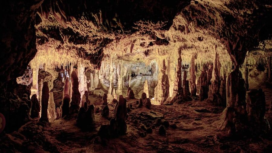 Mallorca: Drach Caves, Lake Martel, & Pearl Factory Day Trip - Mallorca’s Cuevas del Drach: what you’re really paying for