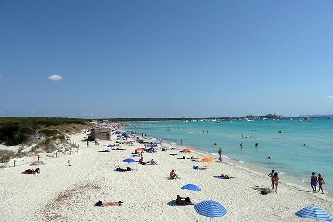 Mallorca Es Trenc Beach Day Tour with Hotel Pick up - Platja d’es Trenc: why this beach day is worth the effort