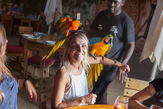 Mallorca Evening Tour: Horseback Riding, Dinner and Dance - The Welcome Sangria, Then the BBQ Buffet Dinner