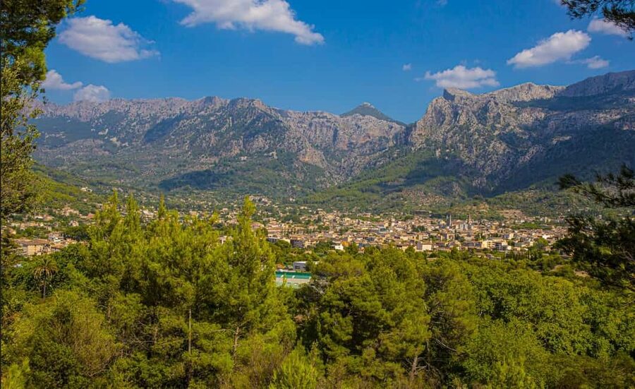 Mallorca: Exclusive Soller Train and Tram Half-Day Tour - Price and Value: Is $67 Worth It?