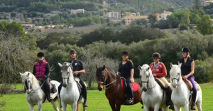Mallorca: Guided Horseback Ride in Randa Valley - Key things that make this Randa Valley ride worth your time