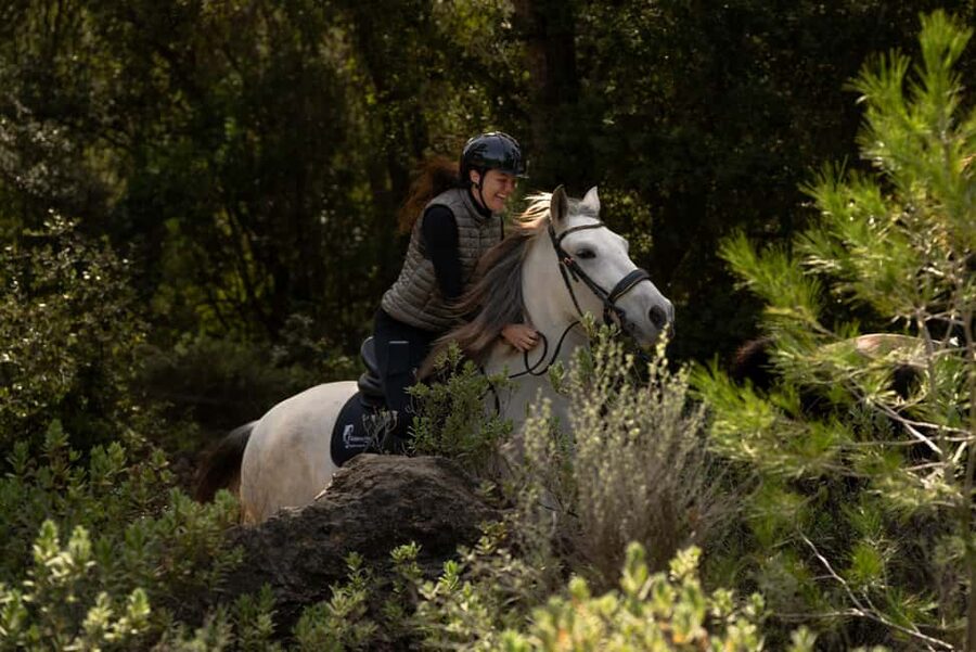 Mallorca: Guided Horseback Ride in Randa Valley - Should you book this guided horseback ride in Mallorca’s Randa Valley?