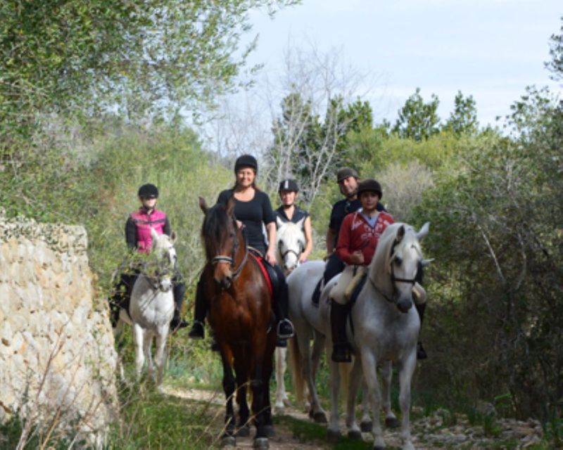 Mallorca: Guided Horseback Ride in Randa Valley - Entering the Mallorca countryside through grooming and horse prep
