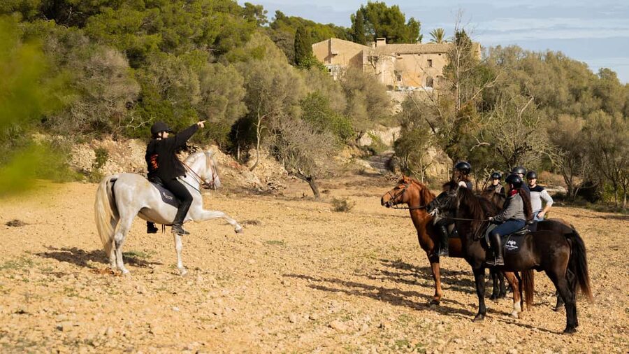 Mallorca: Guided Horseback Ride in Randa Valley - The 150 minutes that actually feel like Mallorca