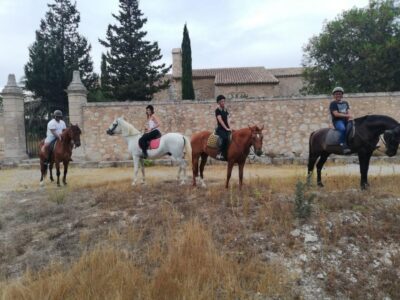 Guided Horseback Ride in Randa Valley