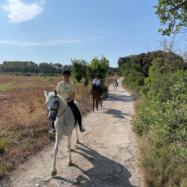 Mallorca: Guided Horseback Ride in Randa Valley - Safety, supervision, and the small-group advantage