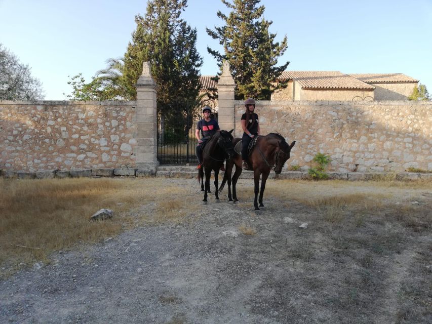 Mallorca: Guided Horseback Ride in Randa Valley - Price and value: what $116 buys you in practice