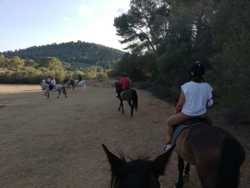 Mallorca: Guided Horseback Ride in Randa Valley - Where this ride fits your body and your schedule