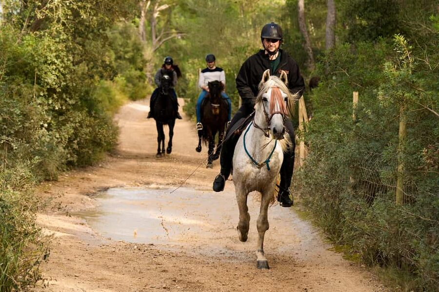 Mallorca: Guided Horseback Ride in Randa Valley - A smooth day plan: what to do before you arrive