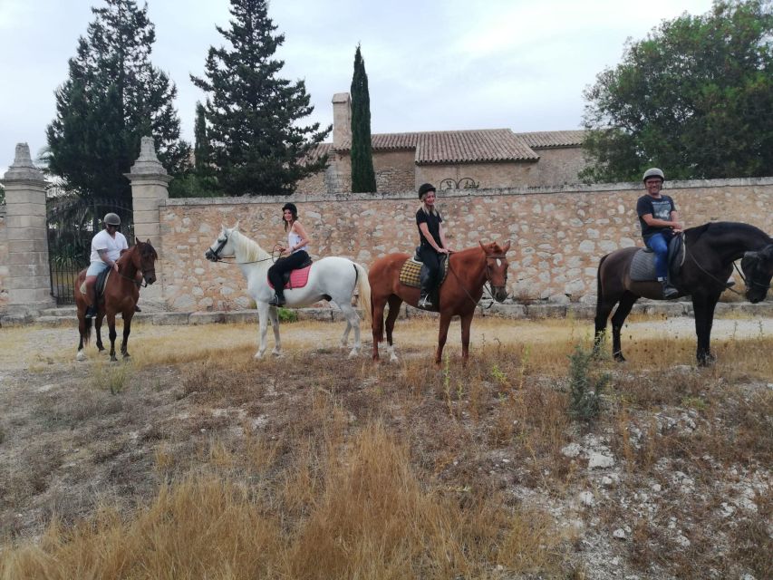 Mallorca: Guided Horseback Ride in Randa Valley - Choosing your horse and getting the basics in the arena