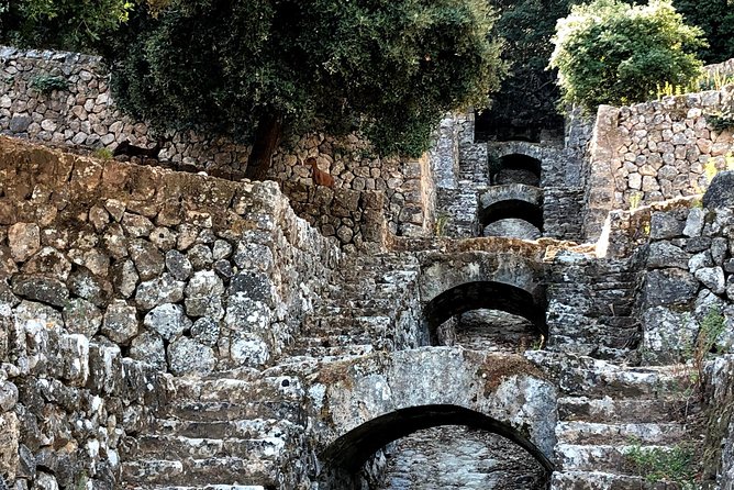 Mallorca Hidden Marvels: Guided Routes for Small Groups - A day that feels like real Mallorca, not a checklist