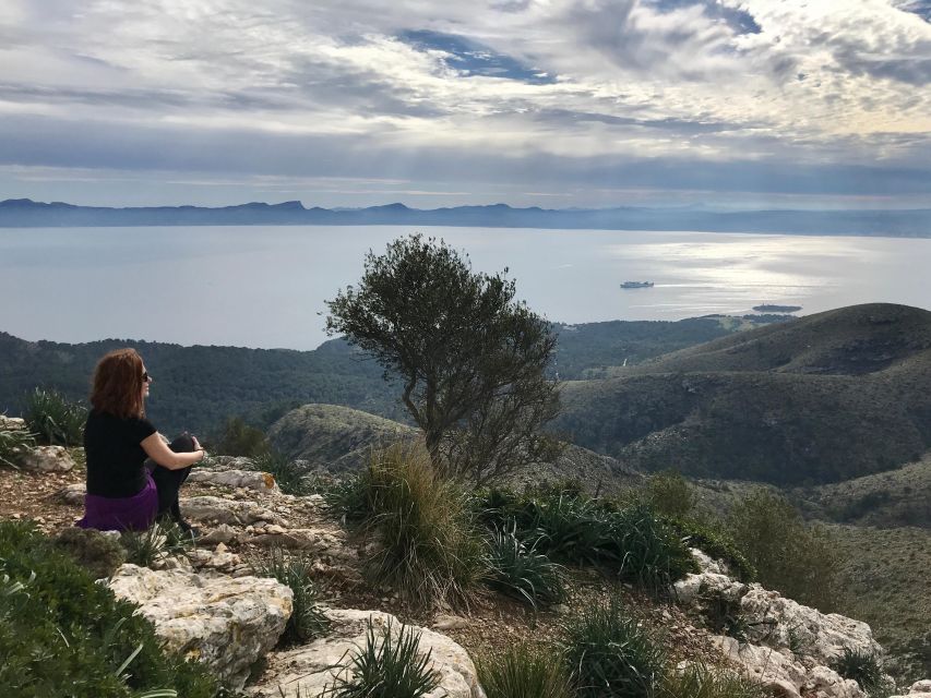 Mallorca: Hiking Adventure on the Alcúdia Peninsula - First steps at Hermita de la Victoria above the bay