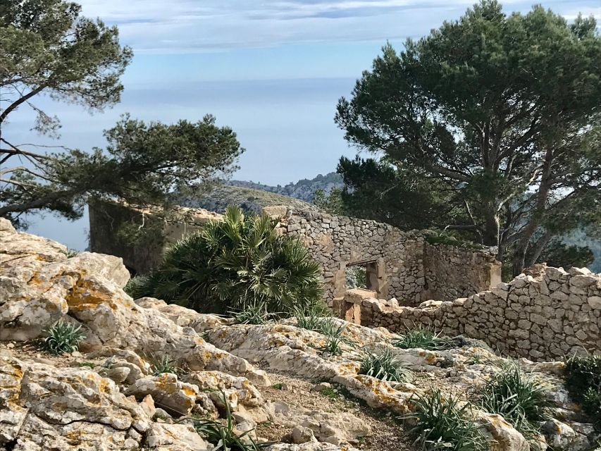Mallorca: Hiking Adventure on the Alcúdia Peninsula - Terrain and safety: what you should pay attention to