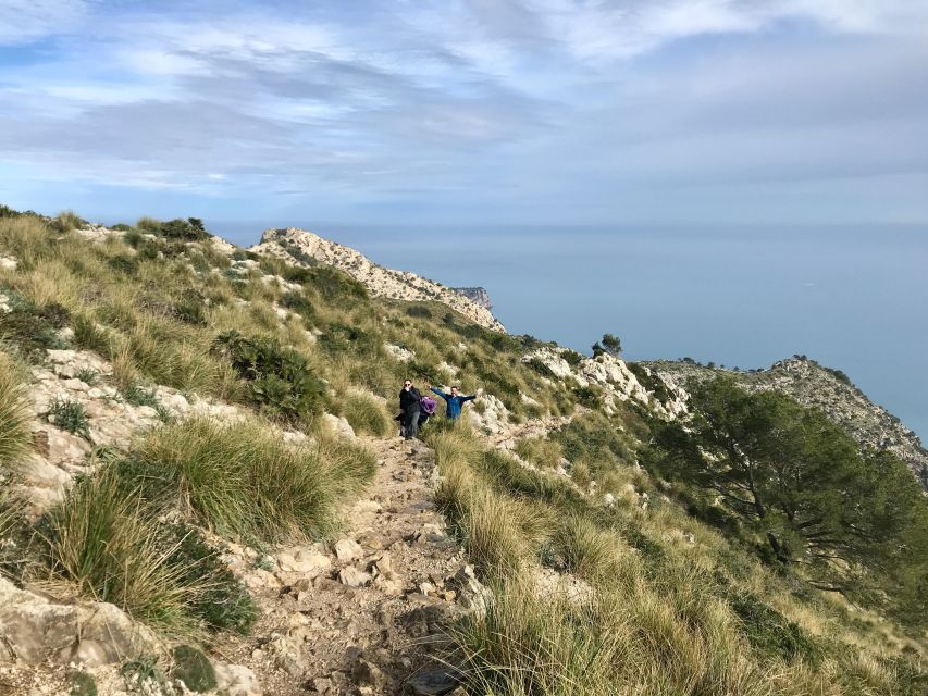 Mallorca: Hiking Adventure on the Alcúdia Peninsula - Price and value: what $81 really buys you