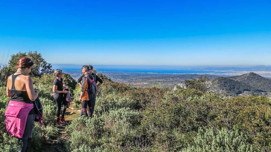 Mallorca Hiking Tour to Puig de Randa - Getting to the trail: meeting point in Playa de Palma